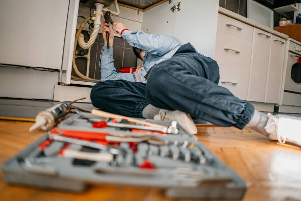 Best Toilet Repair Services  in Argentine, MI