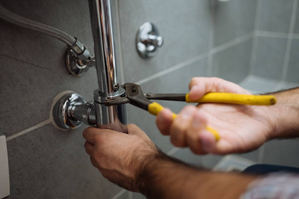 Best Affordable Plumber Near Me  in Argentine, MI