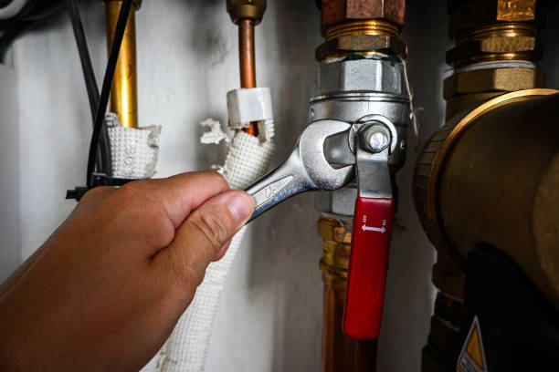 Best Pipe Repair Near Me  in Argentine, MI